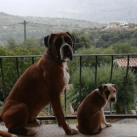 Casa Piredda Icore Iun P2102 Dorgali