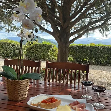 Casa Piredda Icore Iun P2102 Bed & Breakfast
