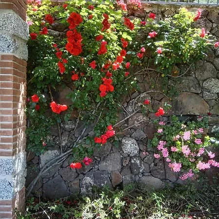 Casa Piredda Icore Iun P2102 Bed & Breakfast